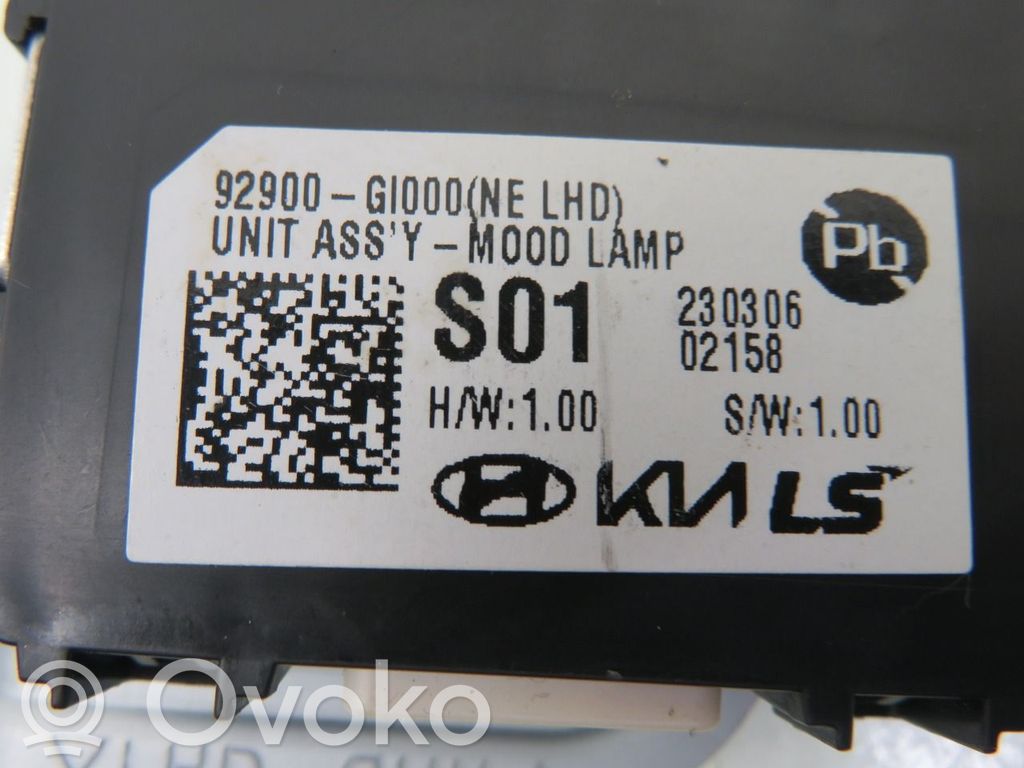 Hyundai Ioniq 5 Alte unități/module de control 