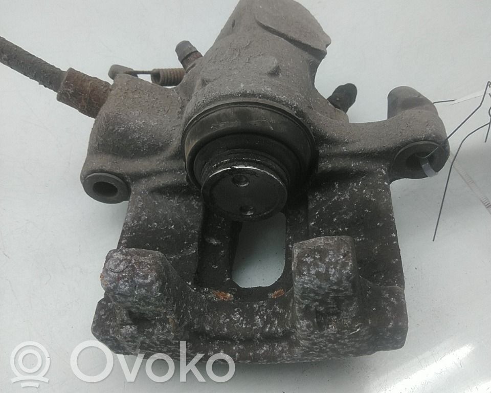 Takajarrusatula   93172183,93172183