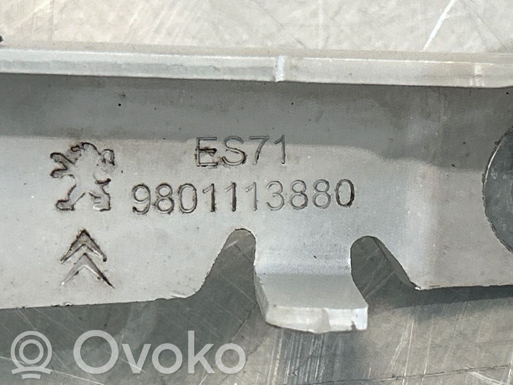 Citroen C4 Cactus Balamale capotă 