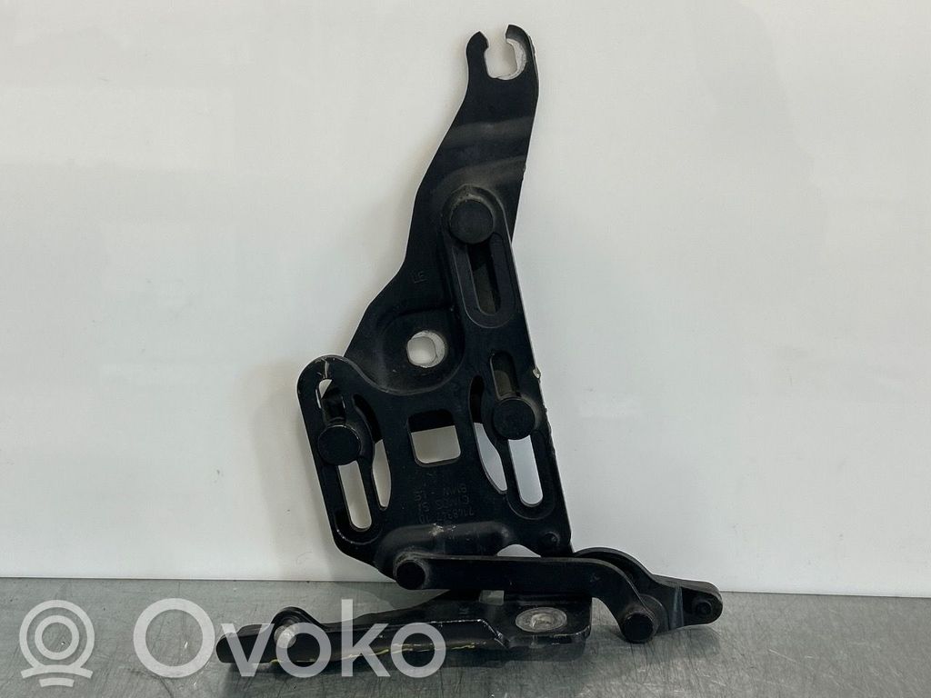 BMW X5 E70 Cerniere del vano motore/cofano 