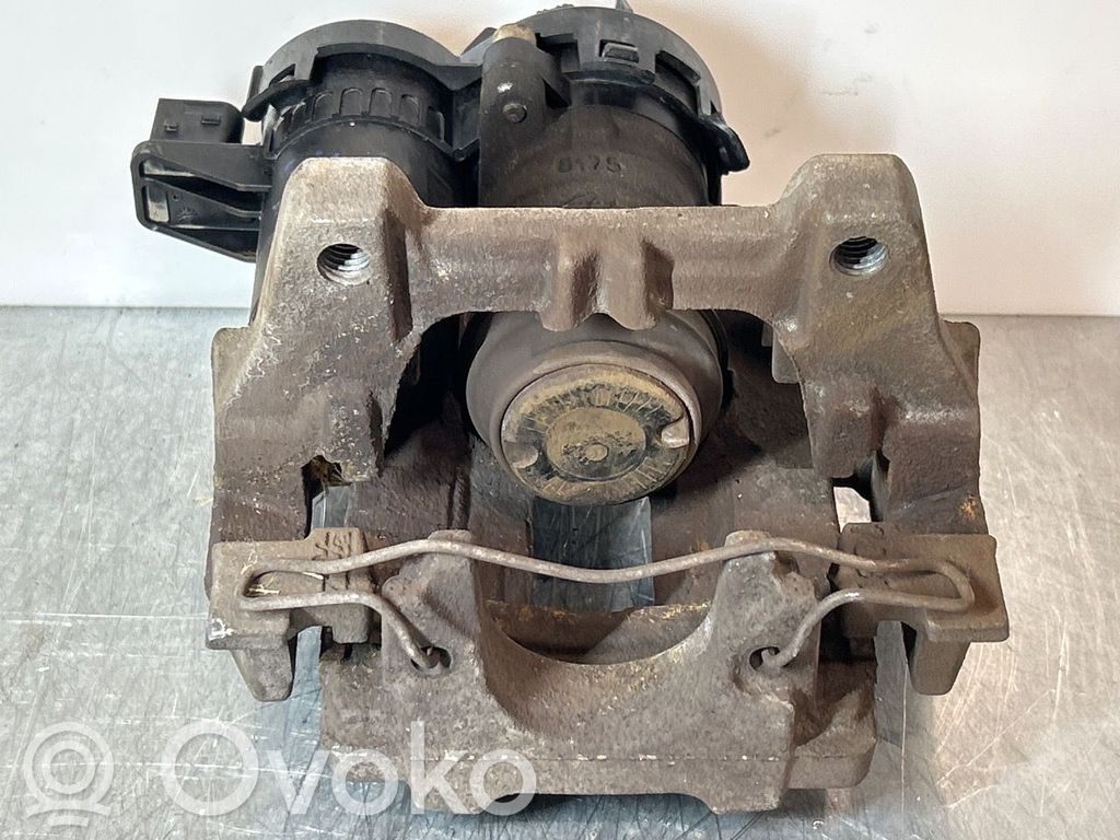 Takajarrusatula   36003032,32217363,32217363,32217363,36003032