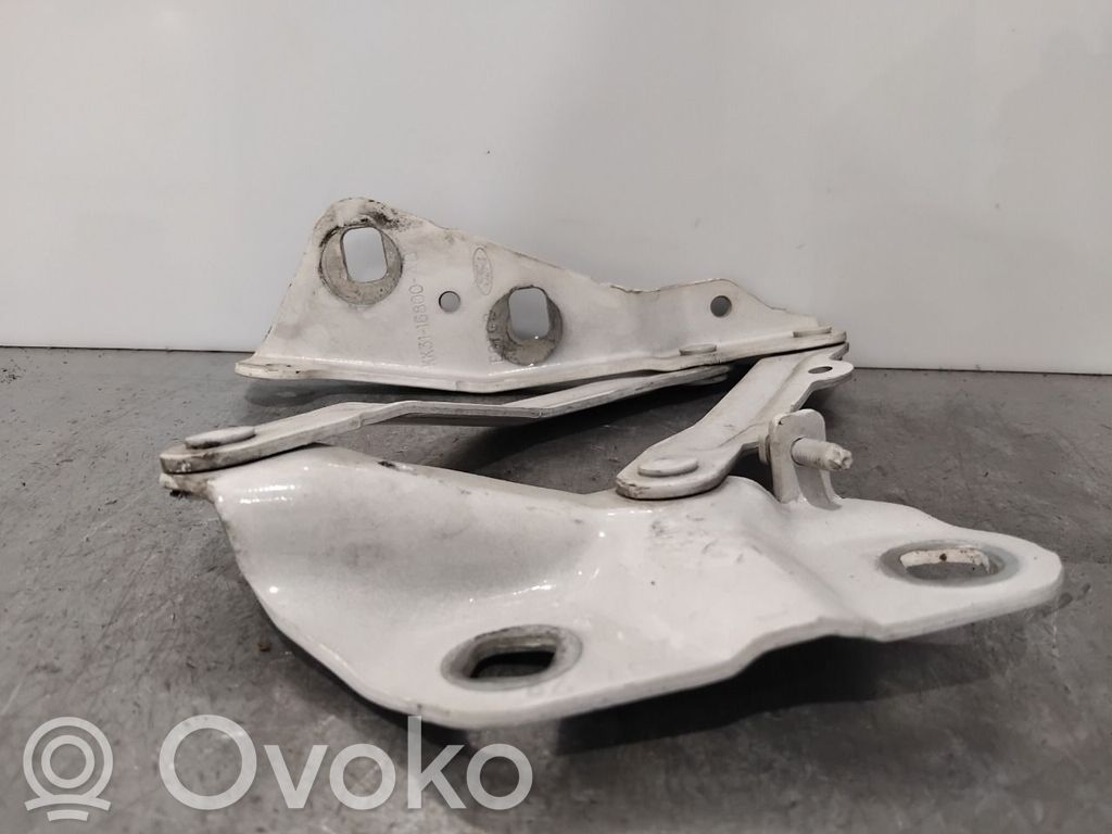 Ford Transit Courier Cerniere del vano motore/cofano 