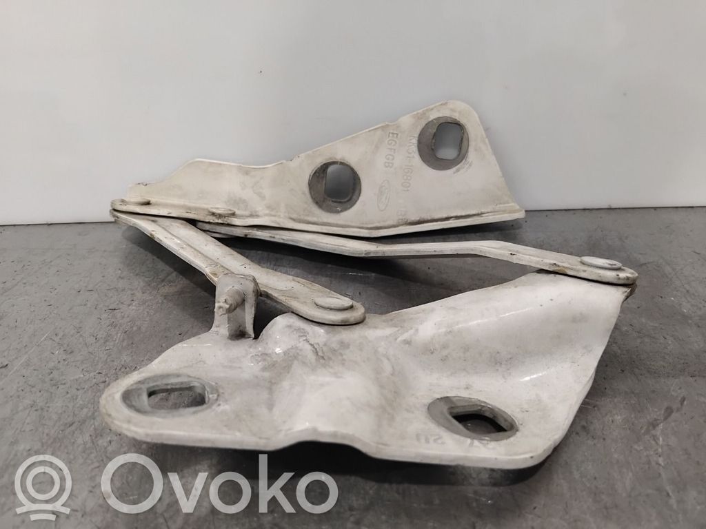 Ford Transit Courier Cerniere del vano motore/cofano 