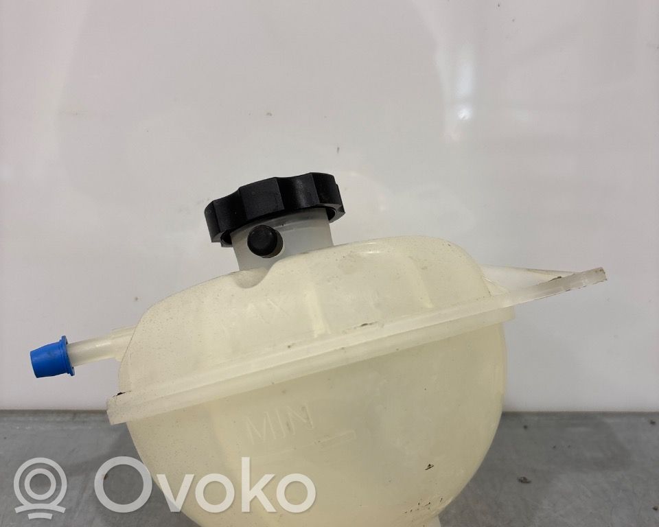 BYD Atto 3 Vas expansiune combustibil 