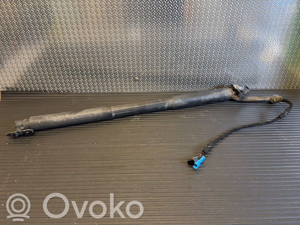 BMW 3 F30 F35 F31 Motorino di apertura del portellone posteriore/bagagliaio