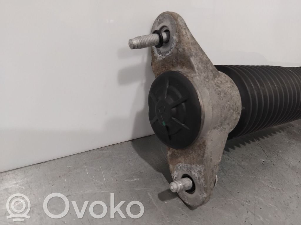 Tesla Model Y Amortizor spate