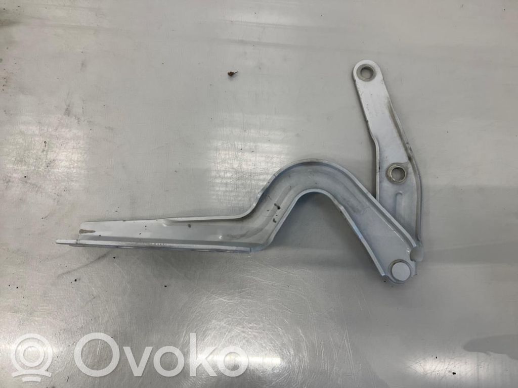 Volkswagen ID.4 Balamale capotă