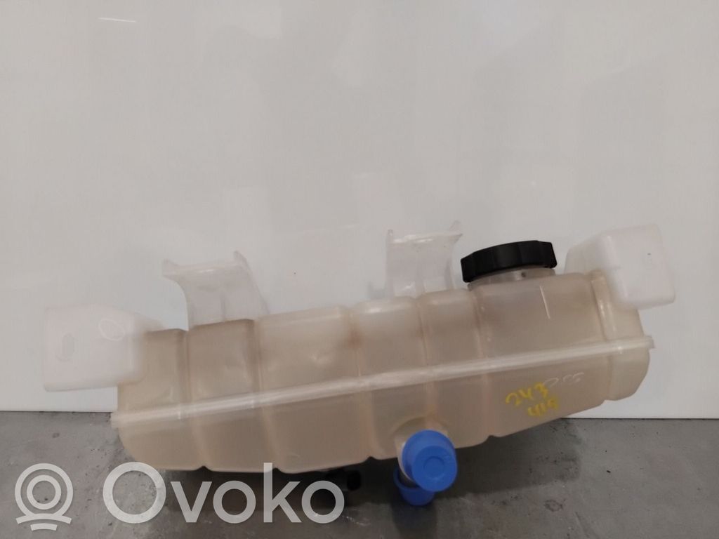 Tesla Model S Kuro išsiplėtimo bakelis 