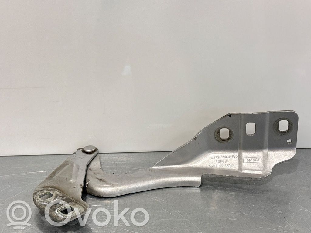 Ford Mondeo MK V Vyris (-iai) variklio dangčio 