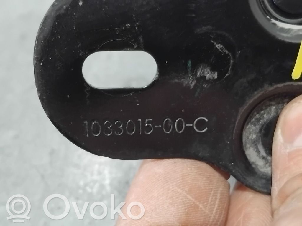 Tesla Model S Chiusura/serratura vano motore/cofano