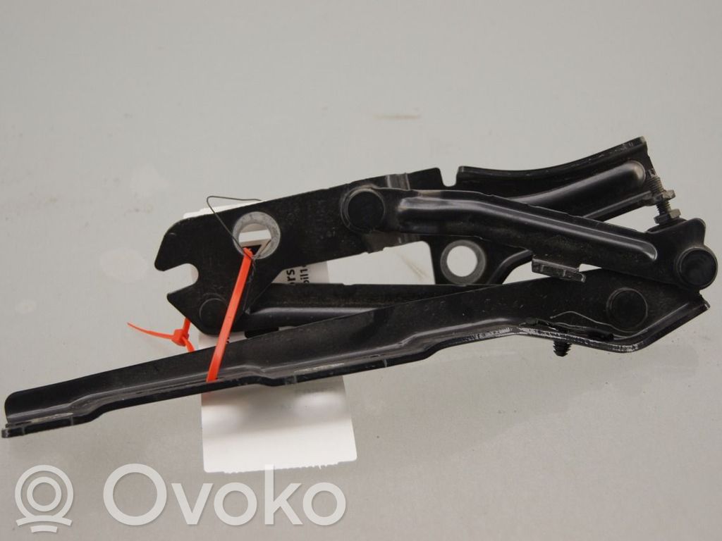 Volkswagen ID.3 Cerniere del vano motore/cofano