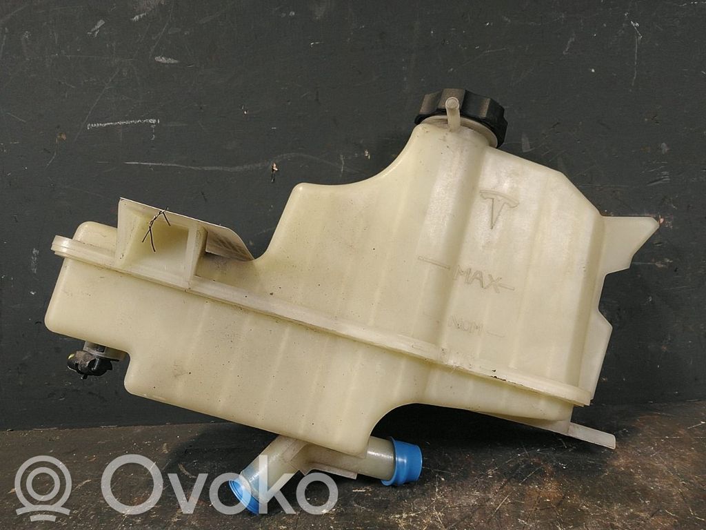Tesla Model S Vaso di espansione carburante 