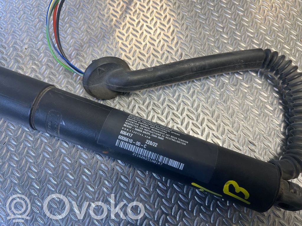 Tesla Model S Ammortizzatore portellone posteriore/bagagliaio