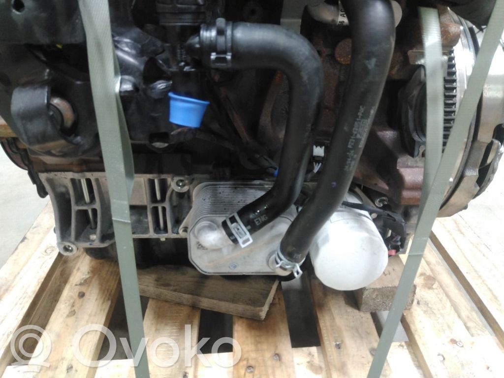 Ford Transit Custom Motor 