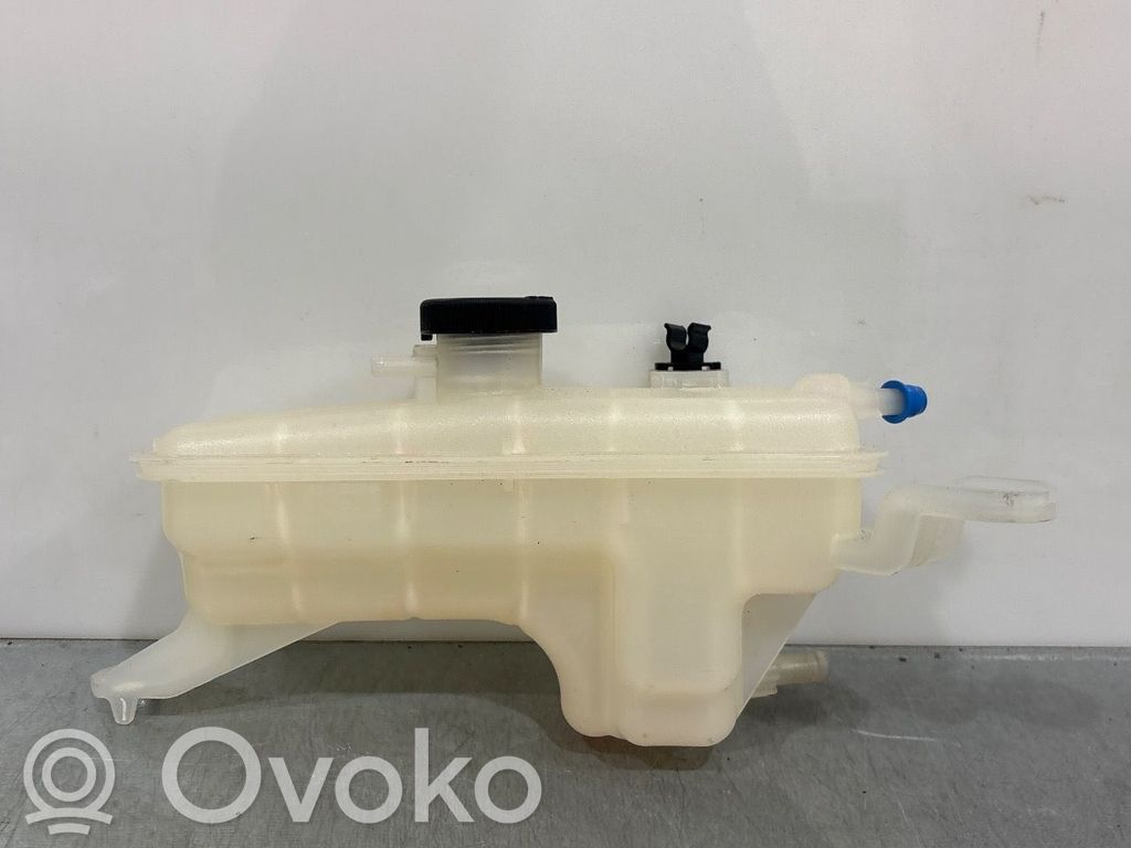 Toyota RAV 4 (XA40) Polttoaineen paisuntasäiliö 