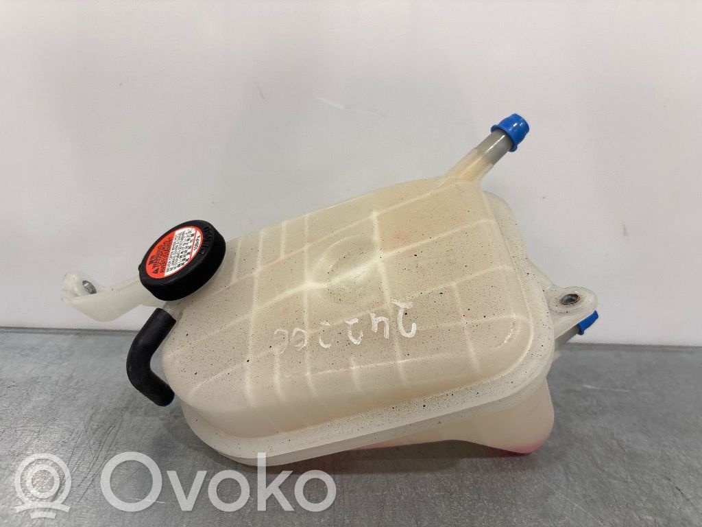 Toyota Auris E180 Kuro išsiplėtimo bakelis 