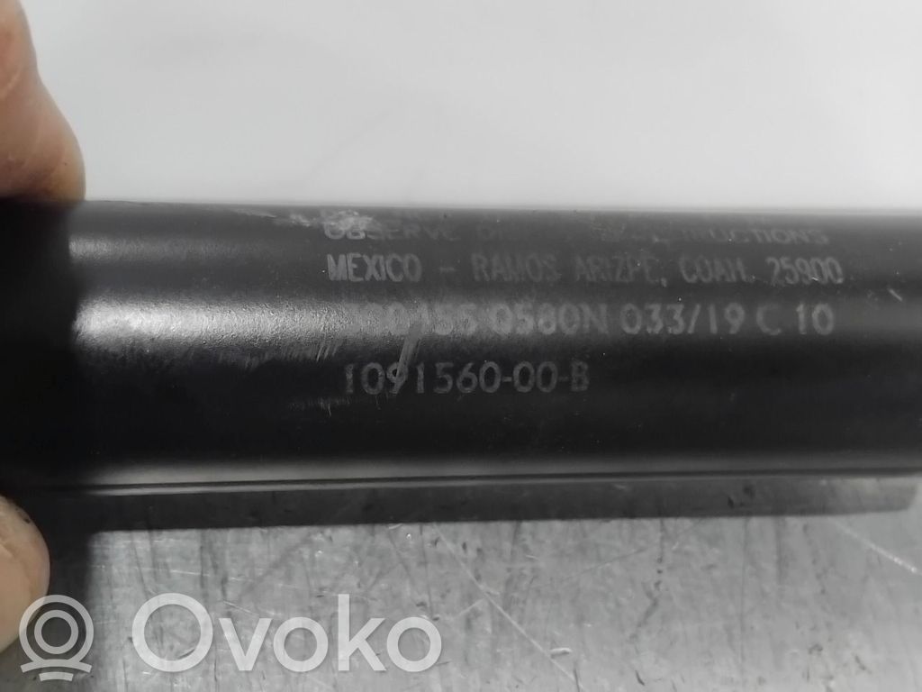 Tesla Model 3 Vérin de capot arrière