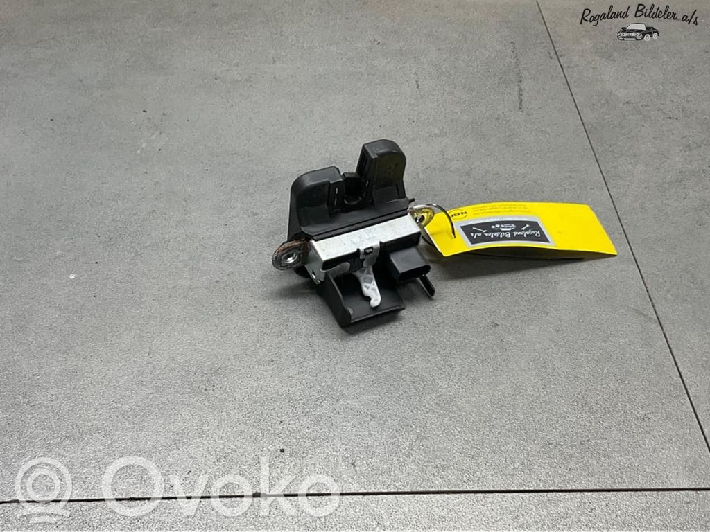 Volkswagen e-Golf Front door lock
