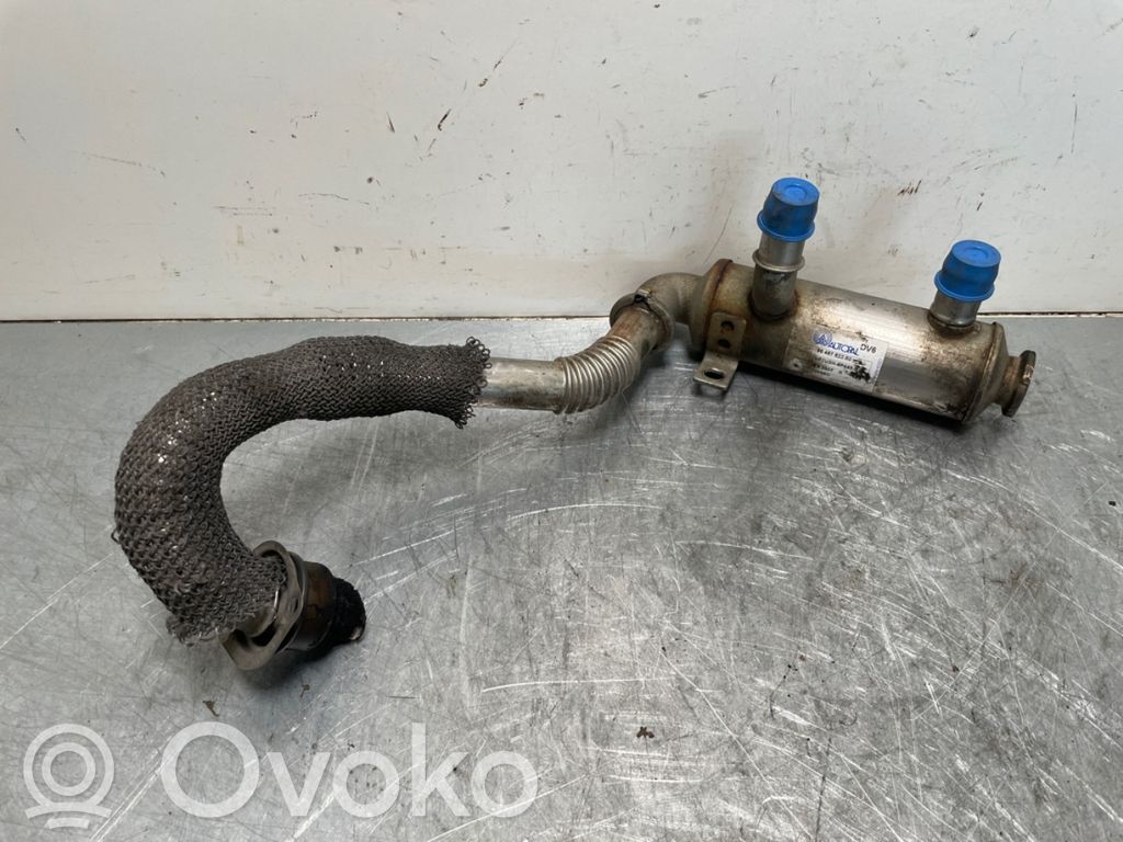 Citroen Jumpy EGR-venttiili/lauhdutin