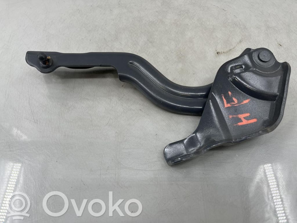 Hyundai Kona II Dzinēja pārsega eņģe (-es) 