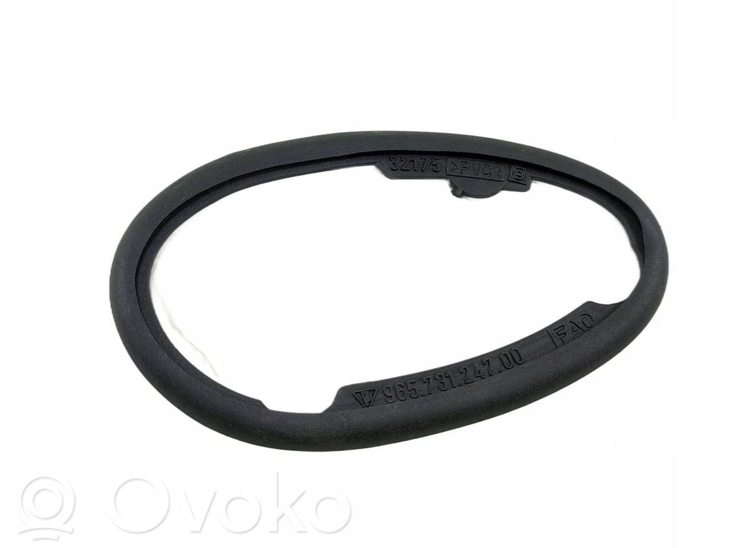 Wing mirror camera   731