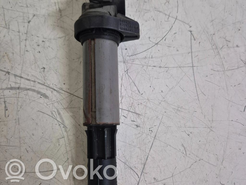 High voltage ignition coil   080102,B04414,0703201