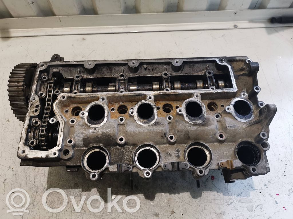 Galvutė   VCDY039011663