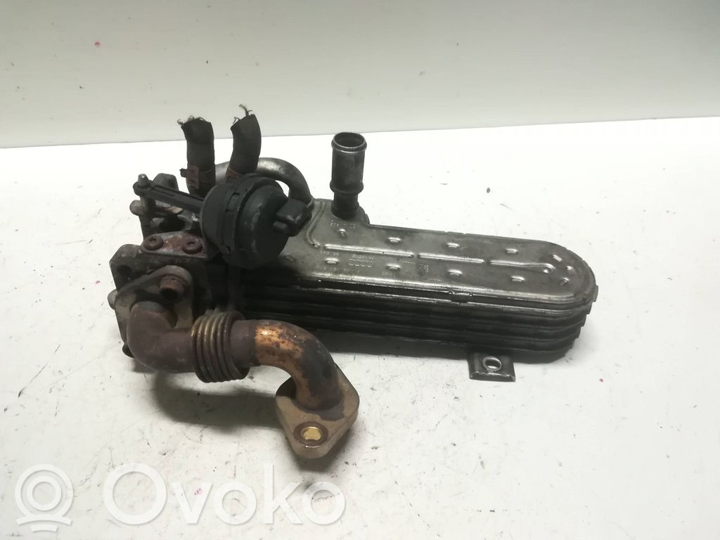 Volkswagen Touran I Refrigerador de la válvula EGR 