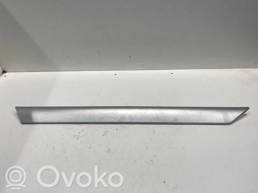 BMW 3 E46 Listón embellecedor de la puerta delantera (moldura) 