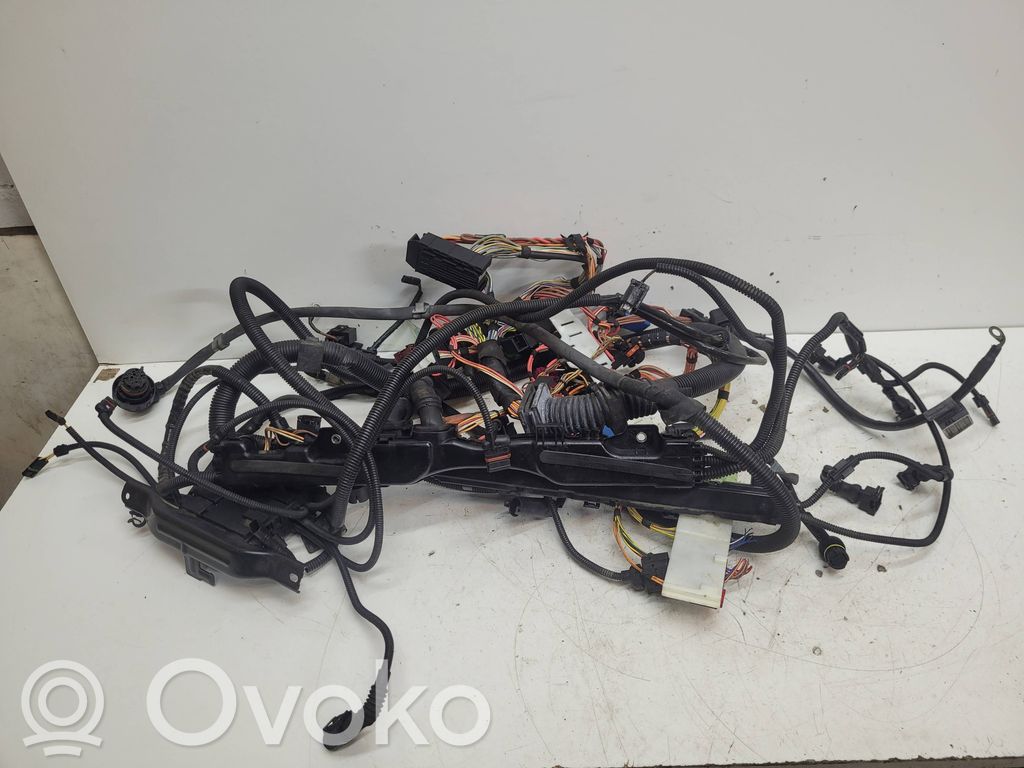 Engine installation wiring loom   7543924,58650910