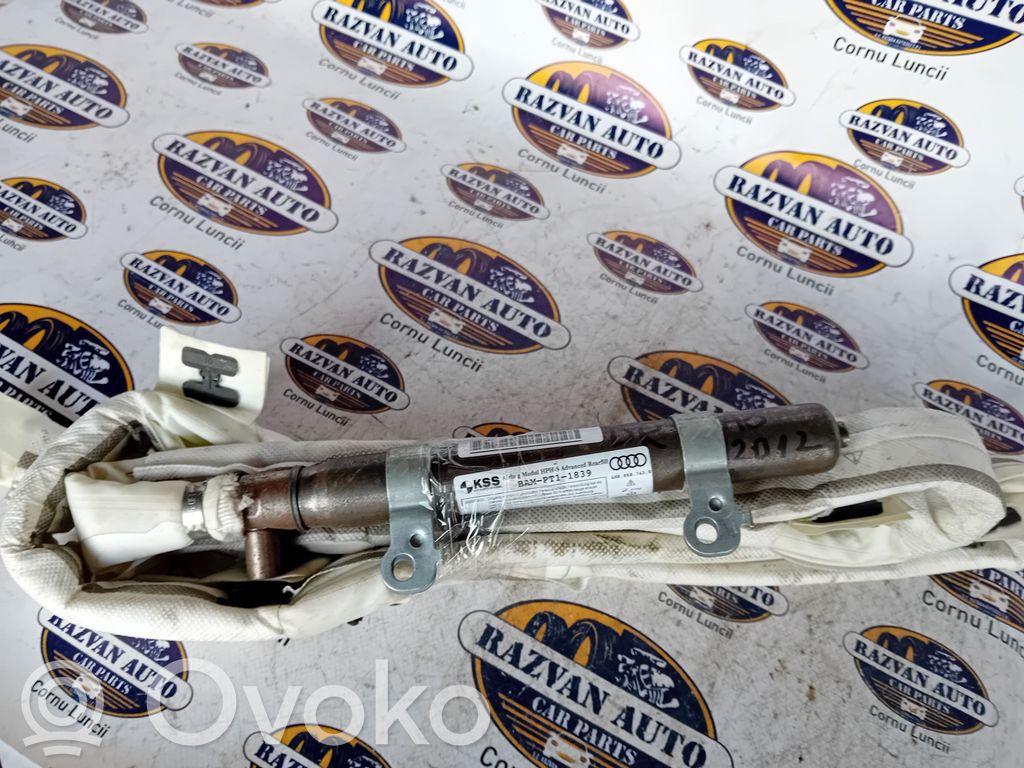 Airbag del techo   170BDSD3593