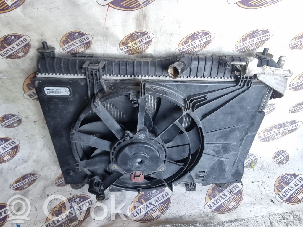 Radiator set   22443