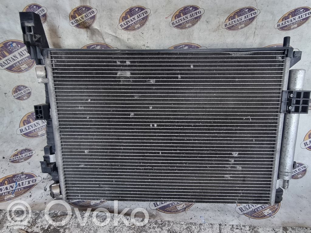 Radiatorių komplektas   22464
