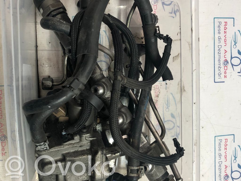 Volkswagen Cross Polo Degvielas iesmidzināšanas sistēmas komplekts 