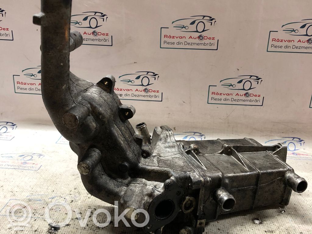 Mercedes-Benz 250 280 W108 Valvola di raffreddamento EGR 