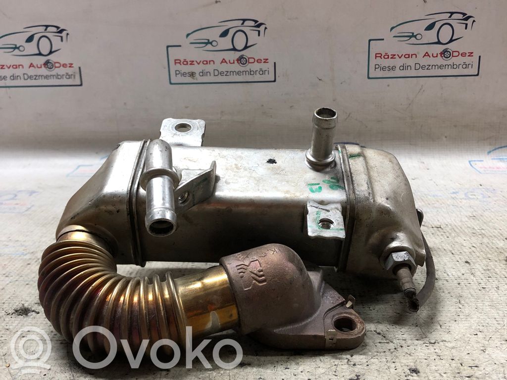 Renault Koleos I EGR aušintuvas 