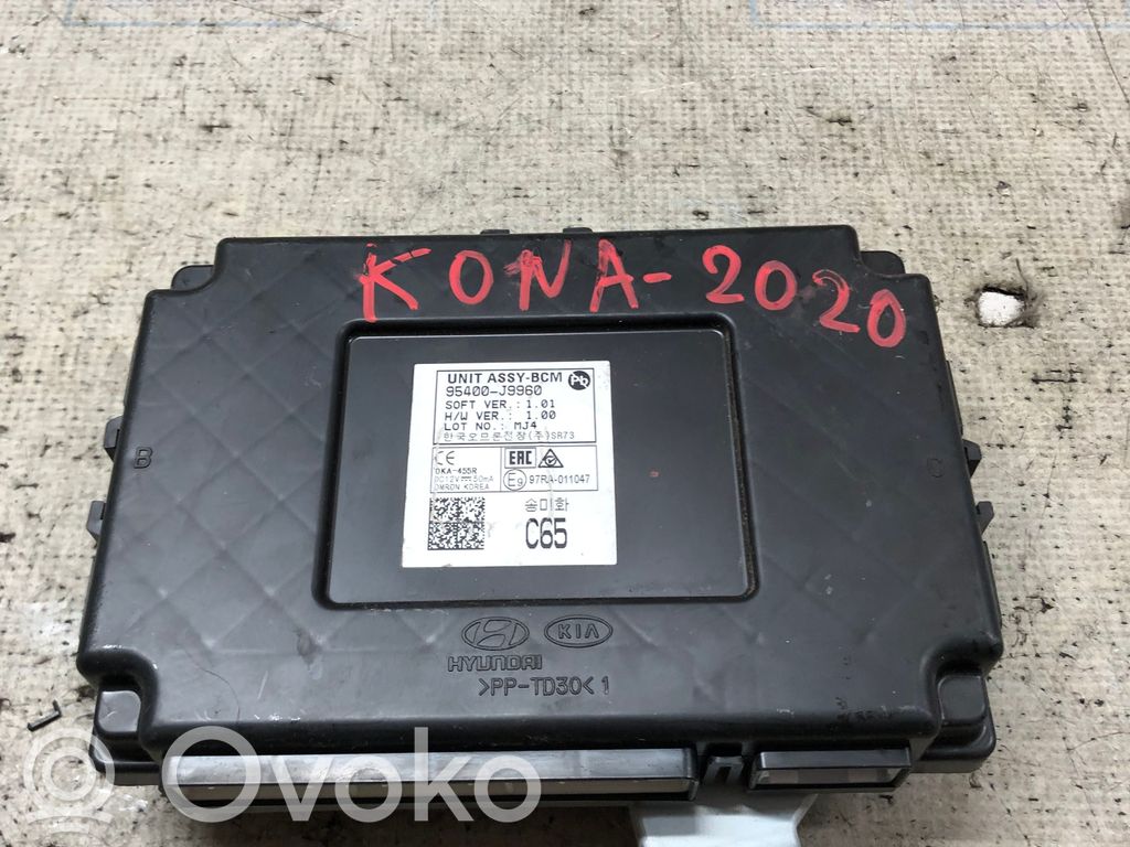 Hyundai Kona I Kėbulo modulis 