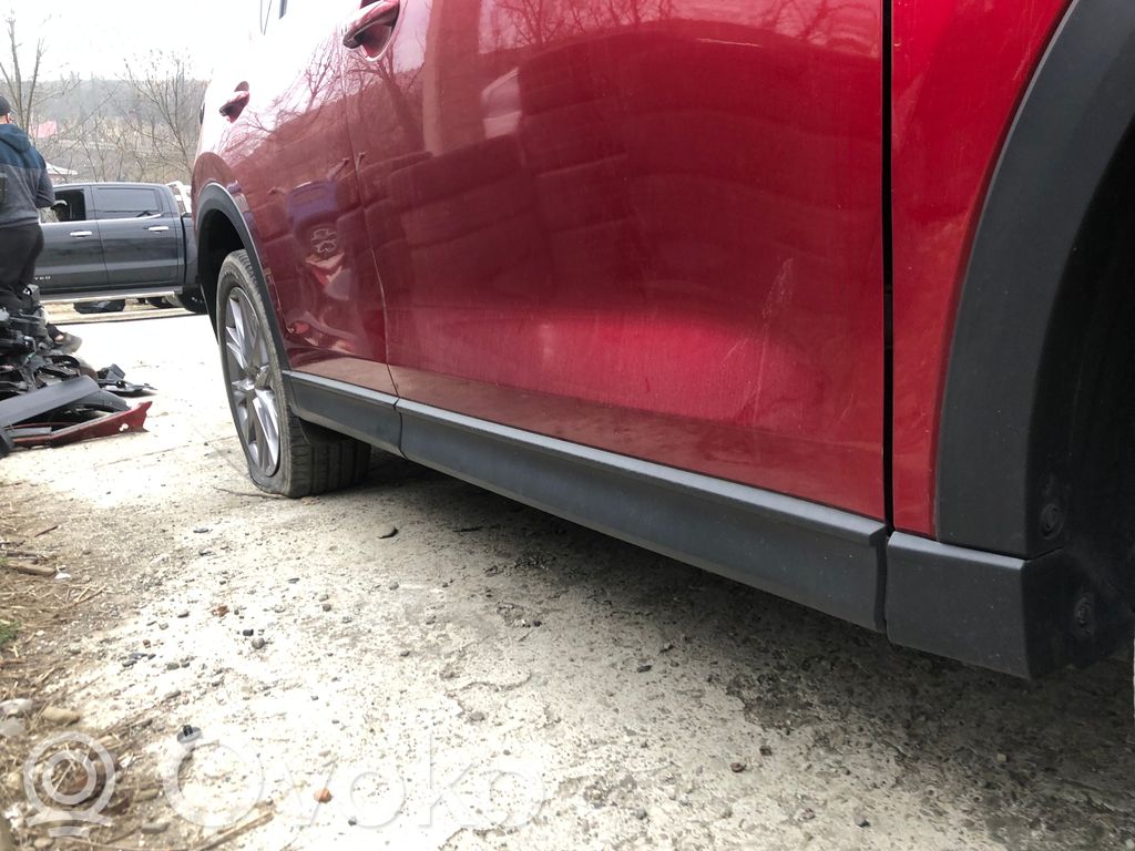 Front sill (body part)