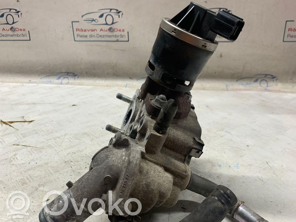Válvula EGR   81210