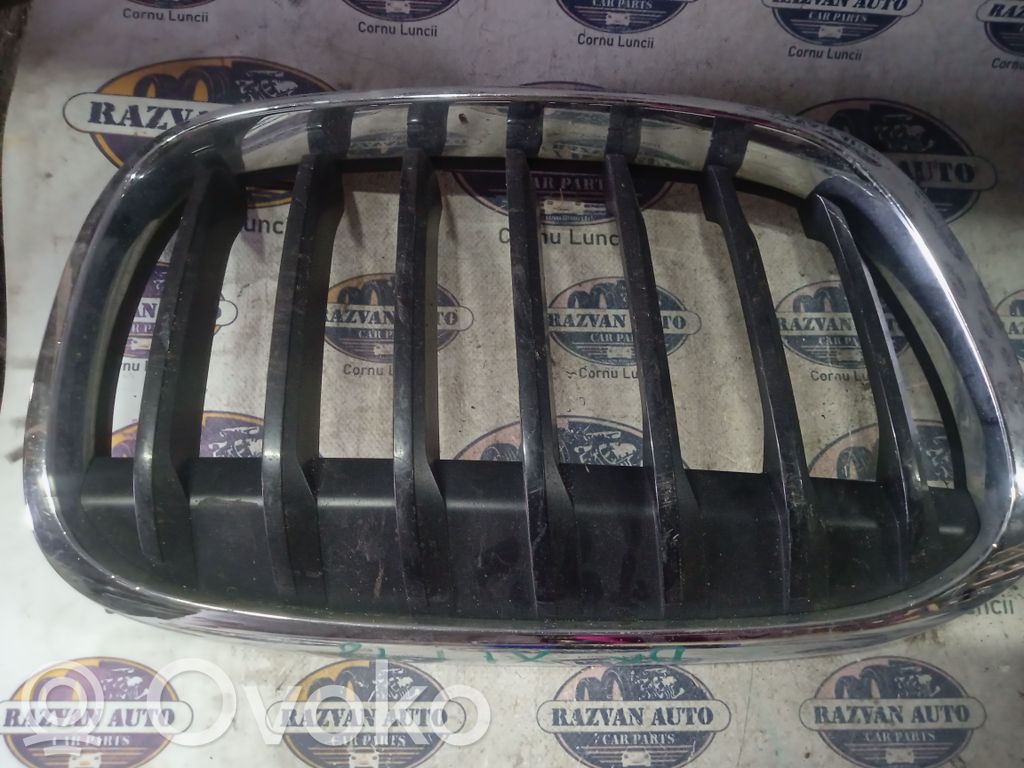 BMW X1 F48 F49 Rejilla delantera 