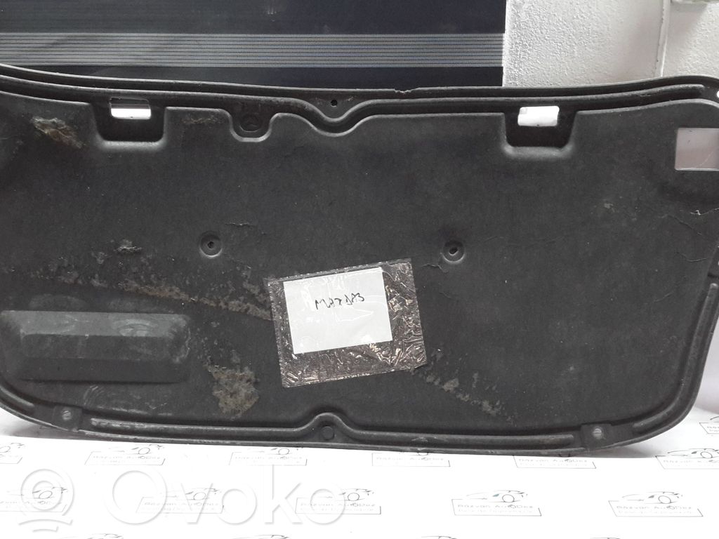 Engine hood trim   19792