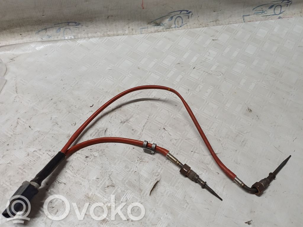 Dacia Sandero Išmetimo daviklis 