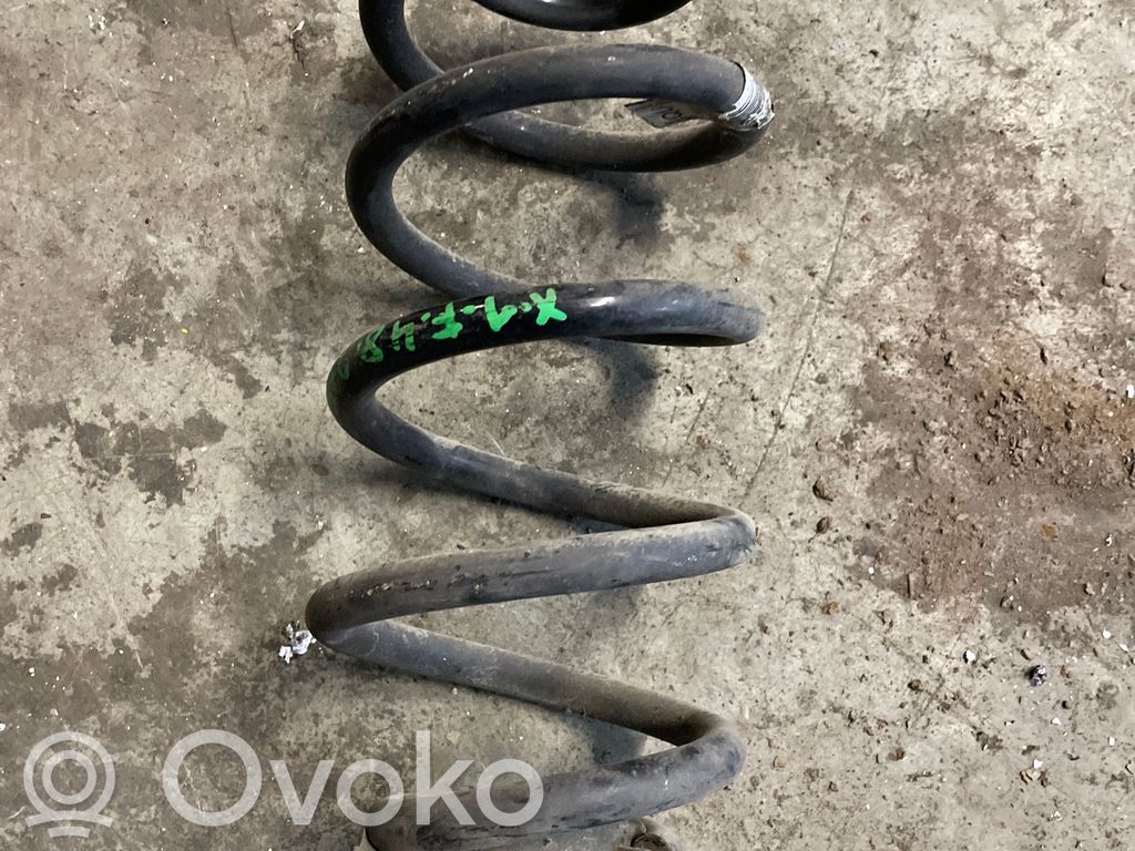 Muelle espiral trasero