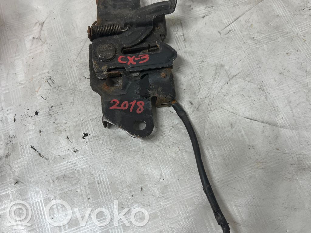 Konepelti   DKY05231XA