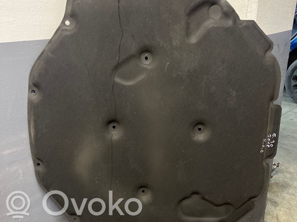 Engine hood trim   94525