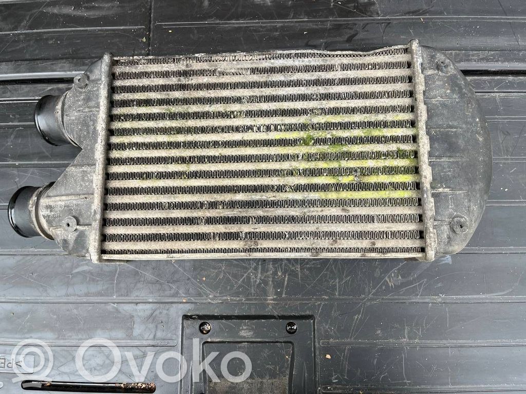 Fiat Multipla Interkūlerio radiatorius 