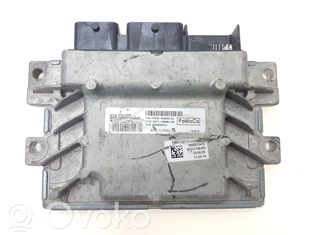 Ford C-MAX II Engine control unit/module 