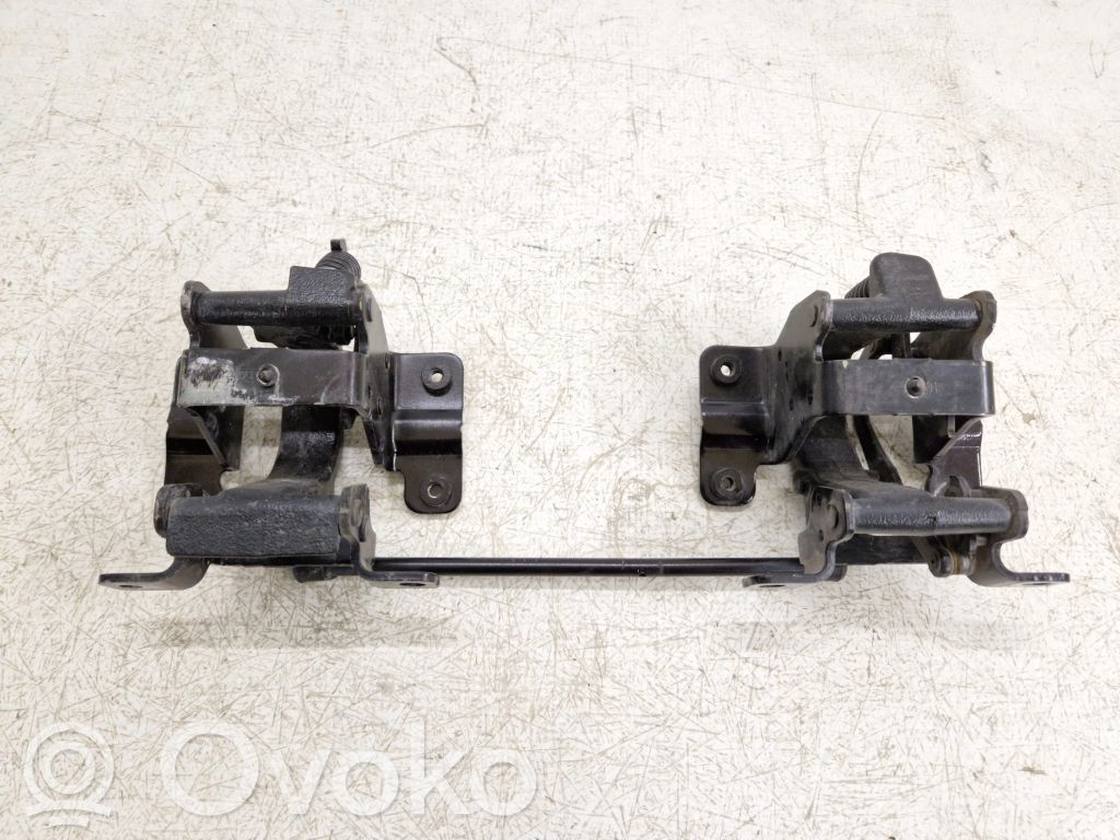 Ford F150 Rear door hinge set 