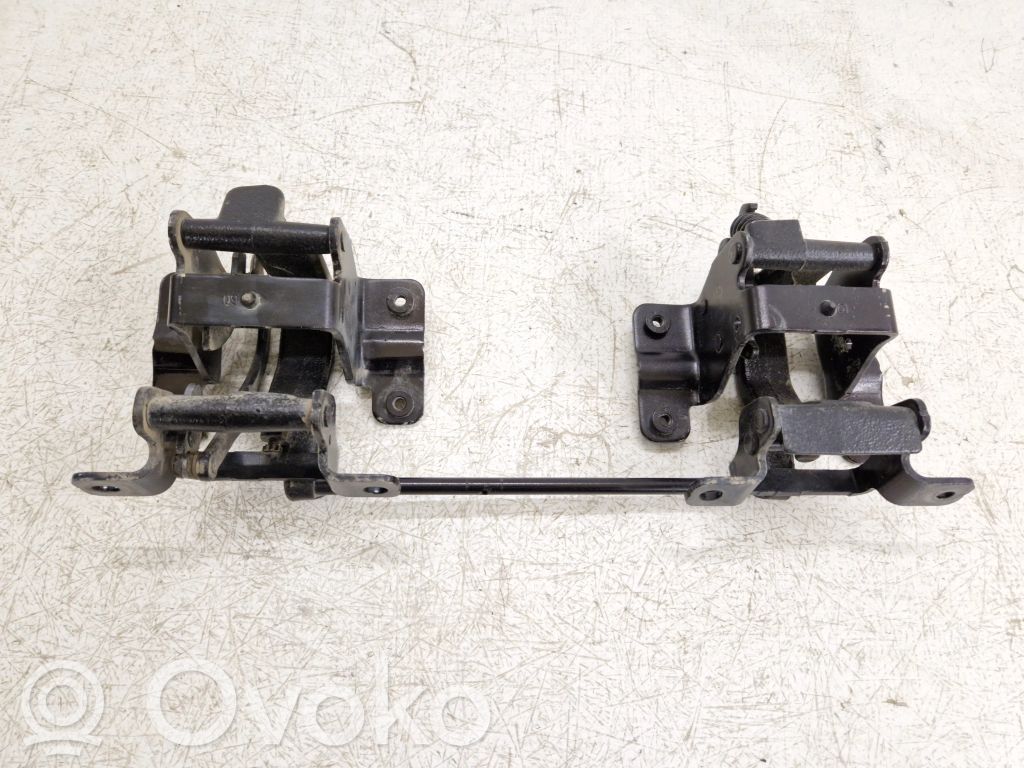 Ford F150 Rear door hinge set 