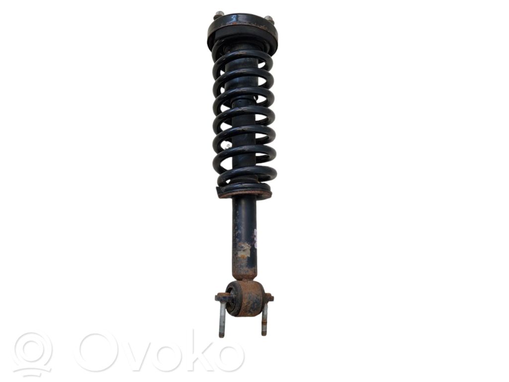 Ford F150 Ammortizzatore anteriore con molla elicoidale 